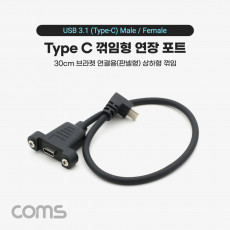 USB 3.1 Type C 케이블 30cm C타입 to C타입 브라켓 연결용 나사 고정형 전면꺾임