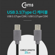 USB 3.1 Type C 케이블 25cm C타입 to C타입