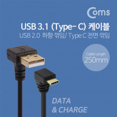 USB 3.1 Type C 케이블 25cm USB 3.0 A 하향꺾임 to C타입 전면꺾임 꺽임