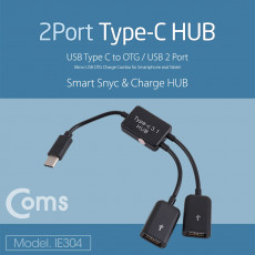 USB 3.1 허브 Type C USB A 2Port 2포트 Type C OTG 케이블